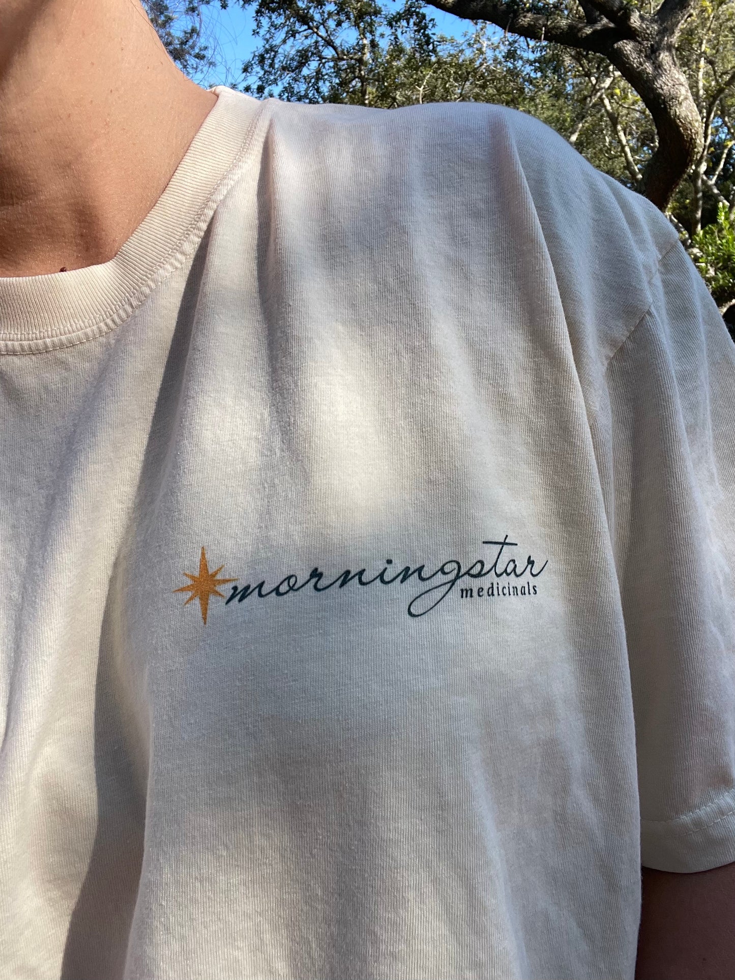 Go(o)d Medicine Spirit Hands T-shirt