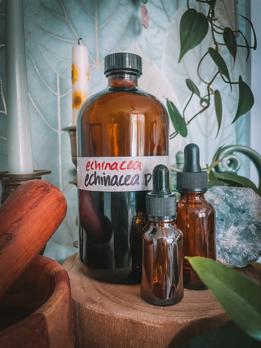 Echinacea Herb Extract