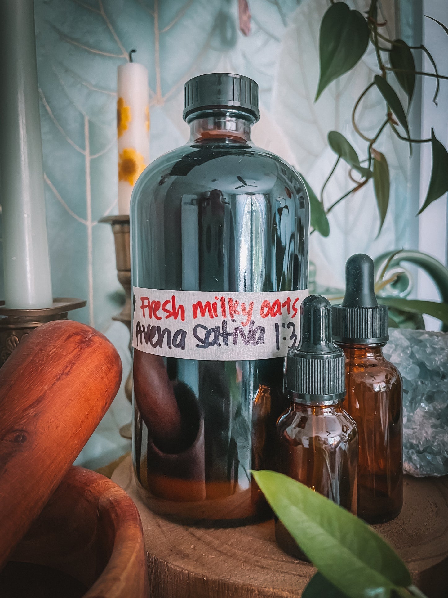 Milky Oats Extract