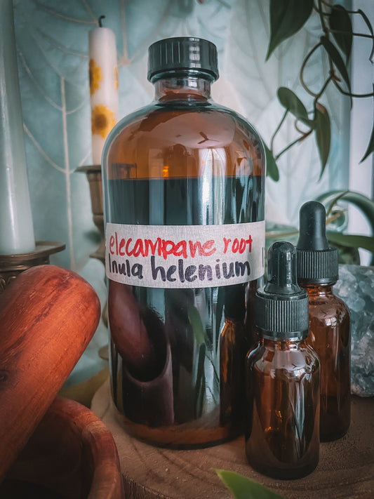 Elecampane Root Extract