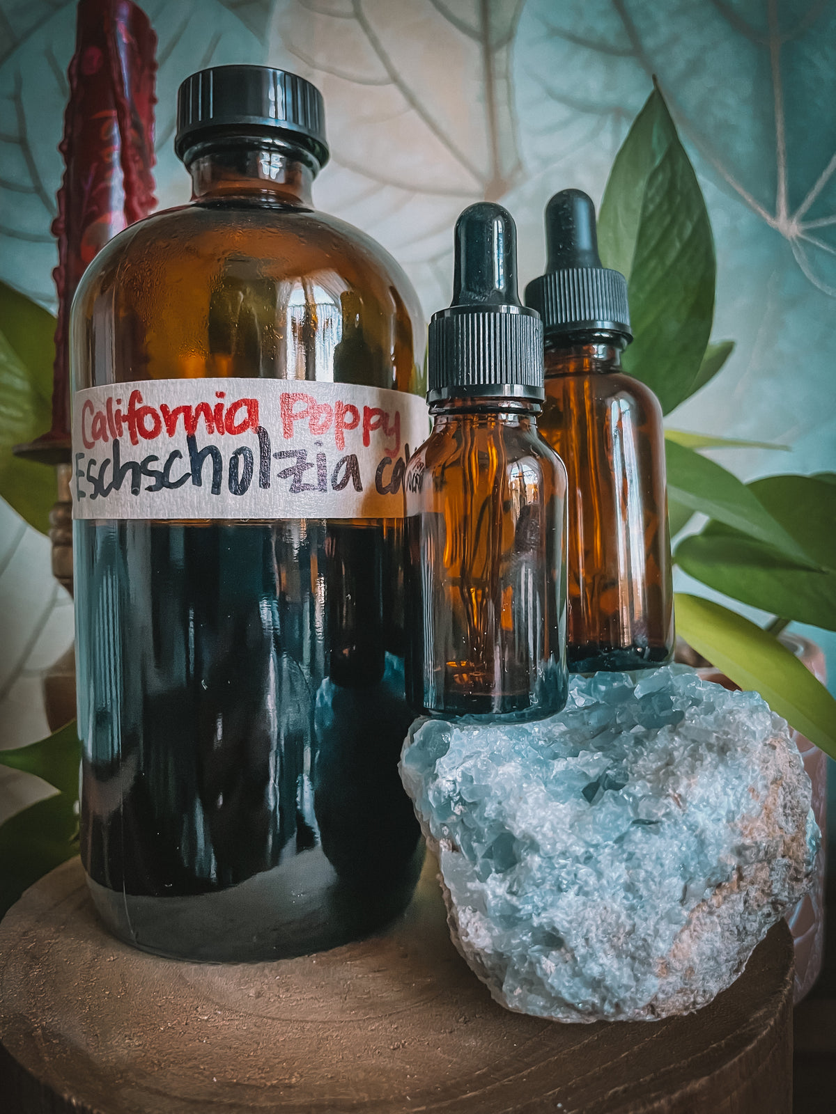 California Poppy Extract