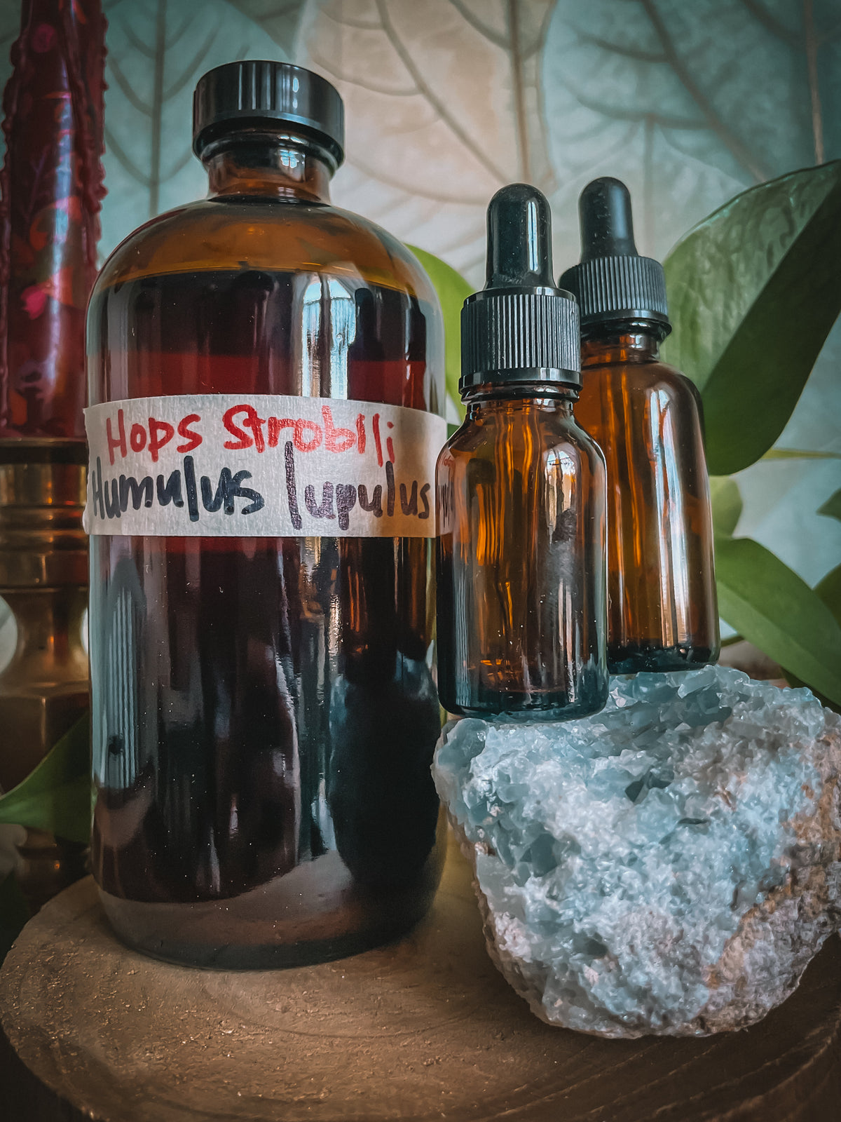 Hops Extract