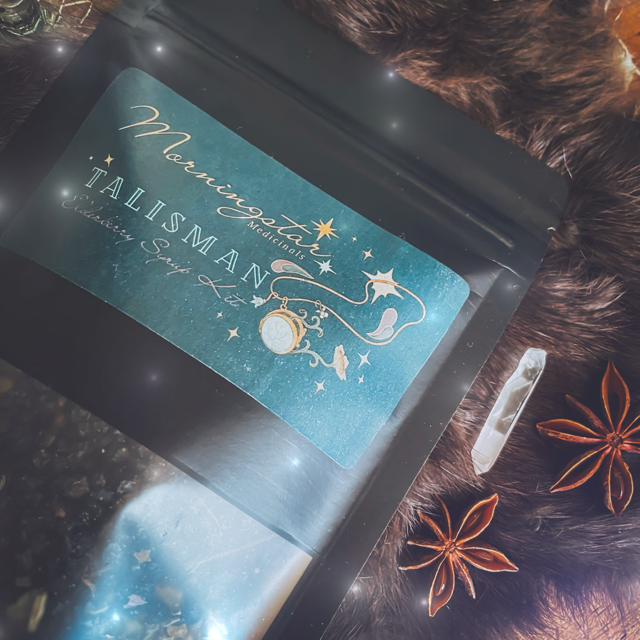 TALISMAN | Elderberry Syrup Kit