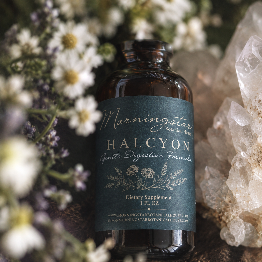 When the Storm Gives Way to Halcyon