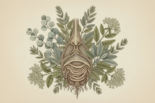 Sinus Congestion: Understanding the Tissue States of Rhinitis & Sinusitis