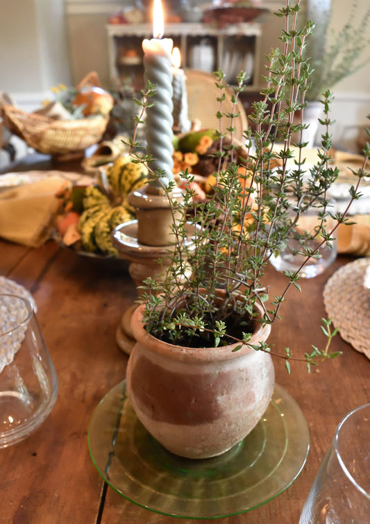 The Healing Herbs at Your Thanksgiving Table — A Kitchen Materia Medica