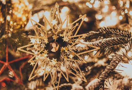 O Herbs of the Holy Night: A Christmas Walk Through the Biblical Apothecary