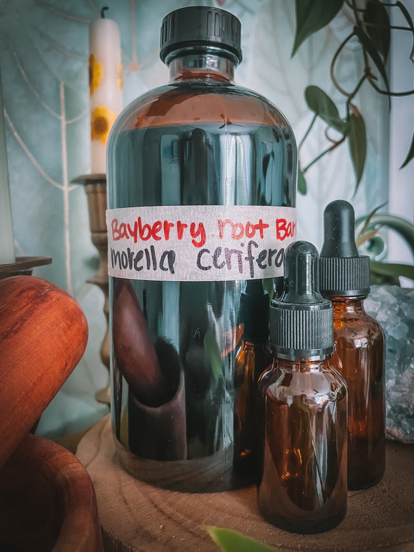 Bayberry Root Extract