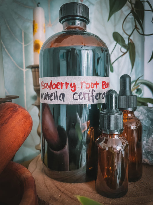 Bayberry Root Extract