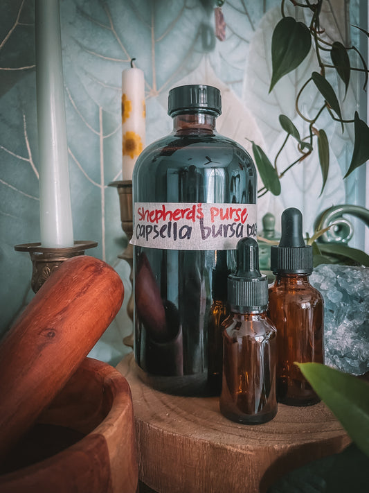 Shepherd's Purse Extract