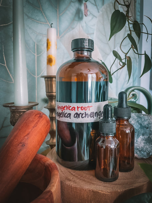 Angelica Extract
