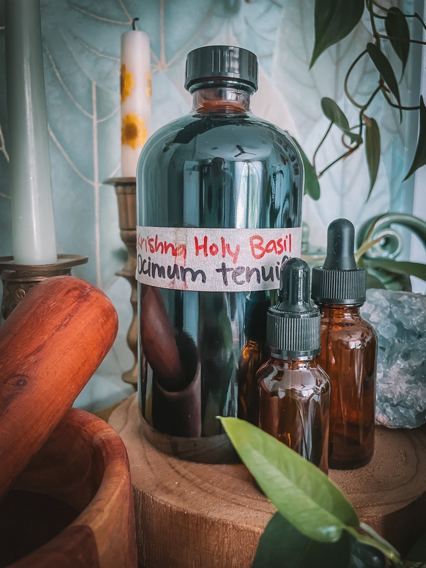 Holy Basil Extract