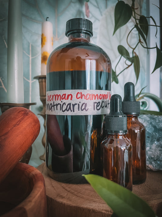 Chamomile Extract