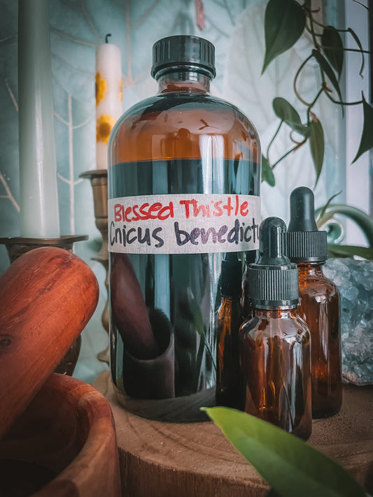 Blessed Thistle Extract