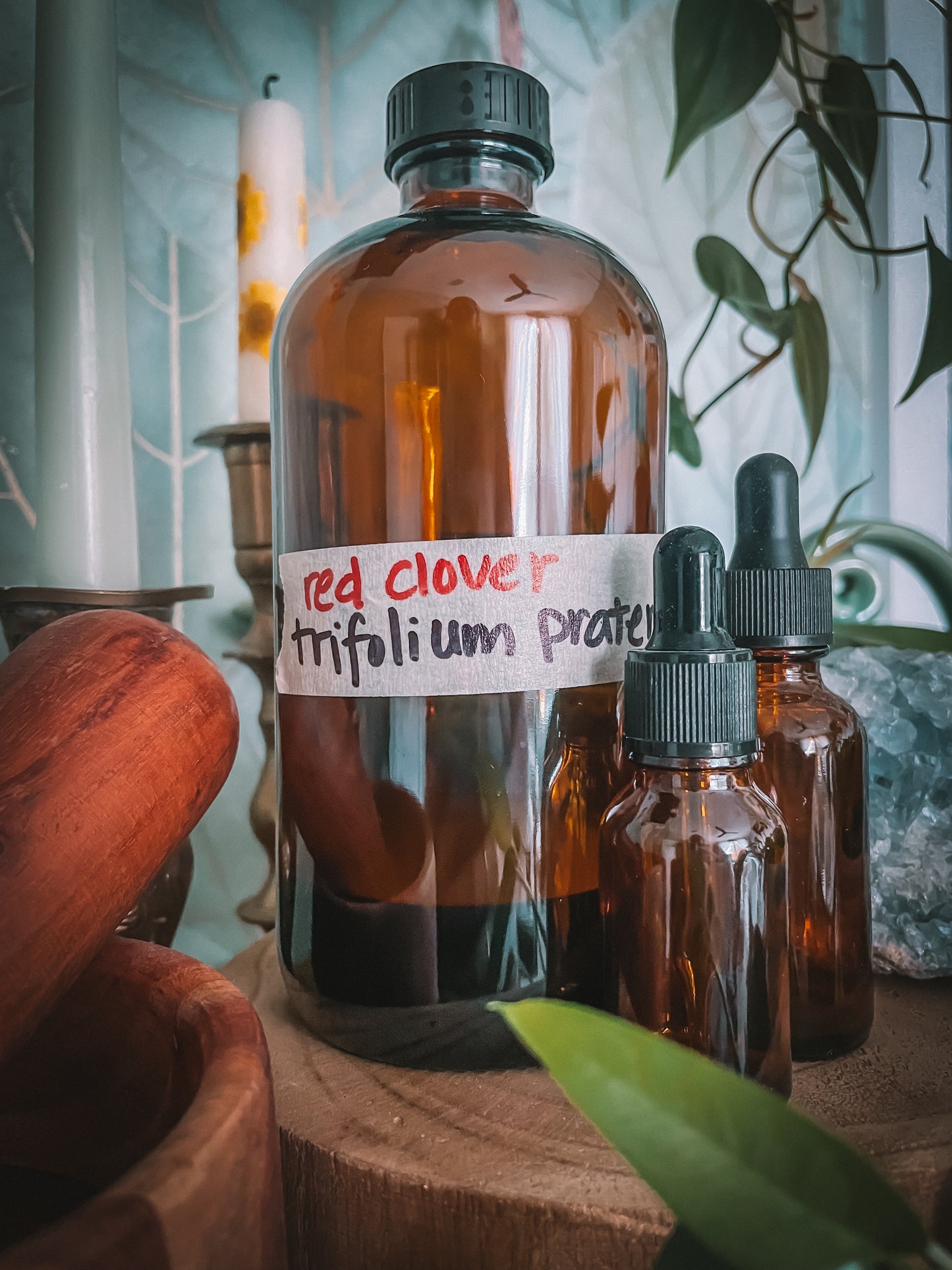 Red Clover Extract