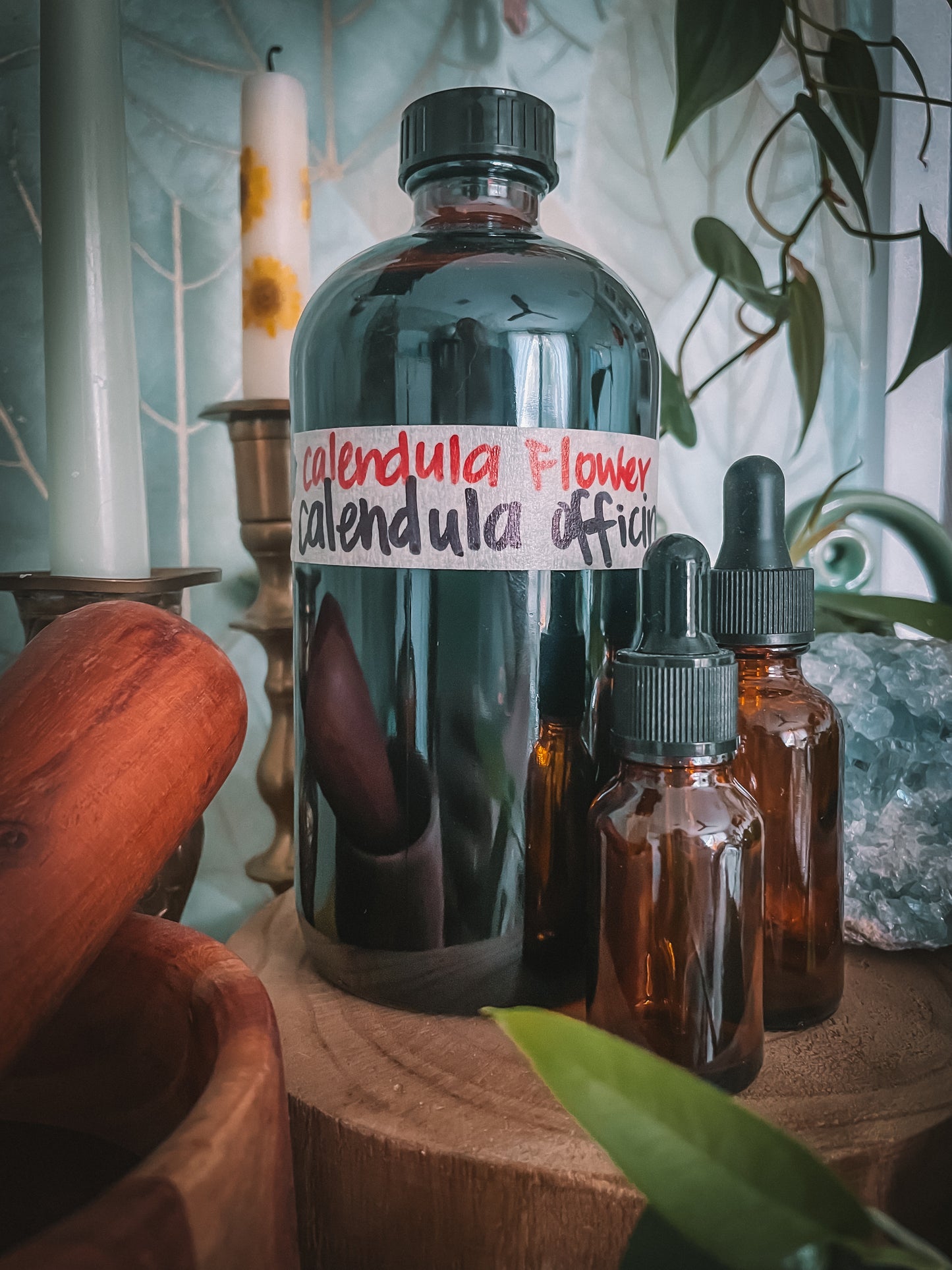 Calendula Extract