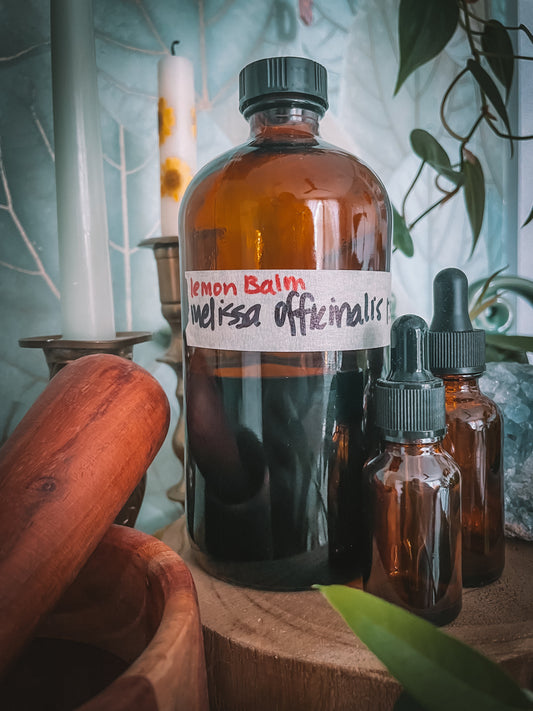Lemon Balm Extract