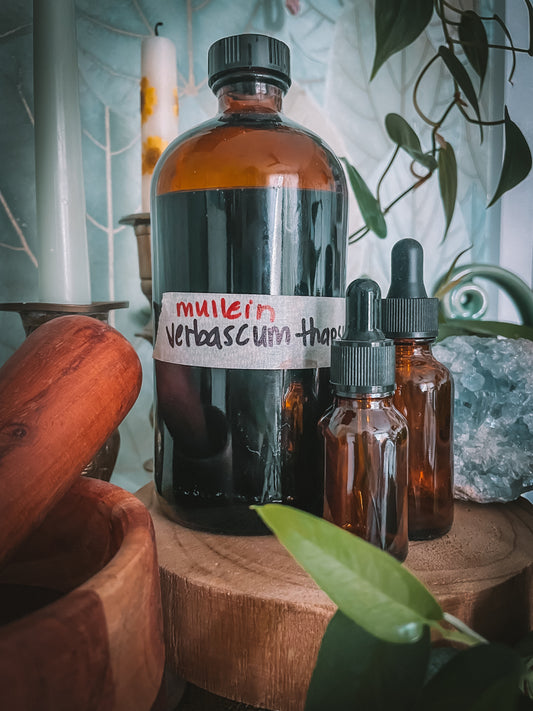 Mullein Extract