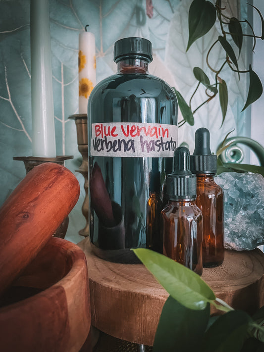 Blue Vervain Extract