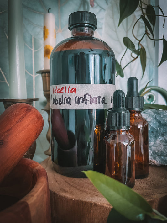 Lobelia Extract