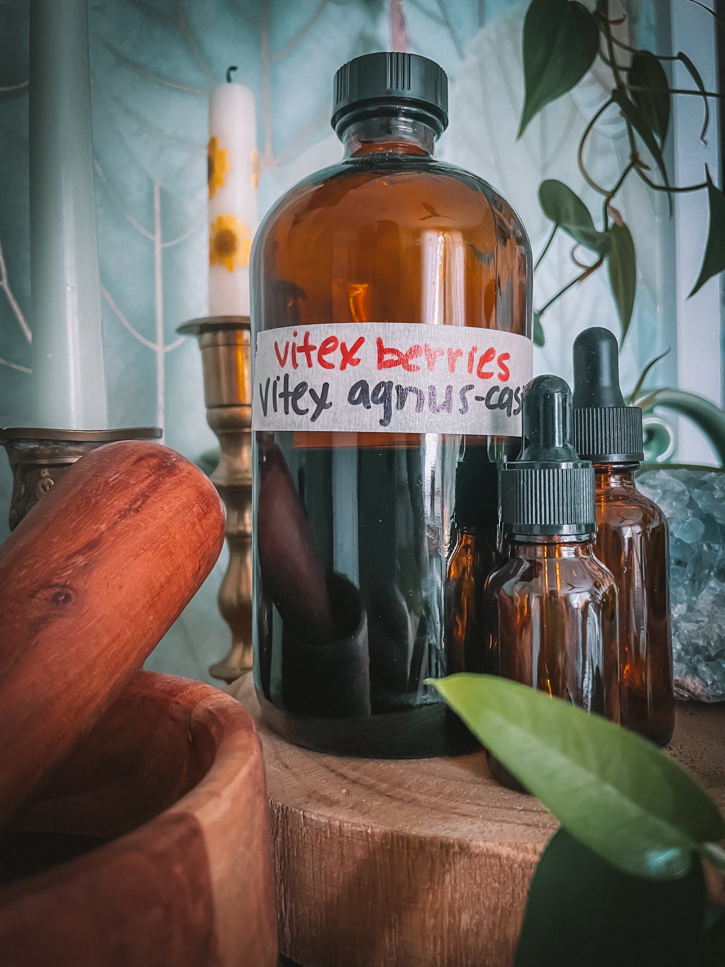 Chaste Tree Berry Extract