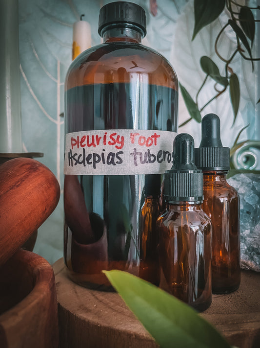 Pleurisy Root Extract