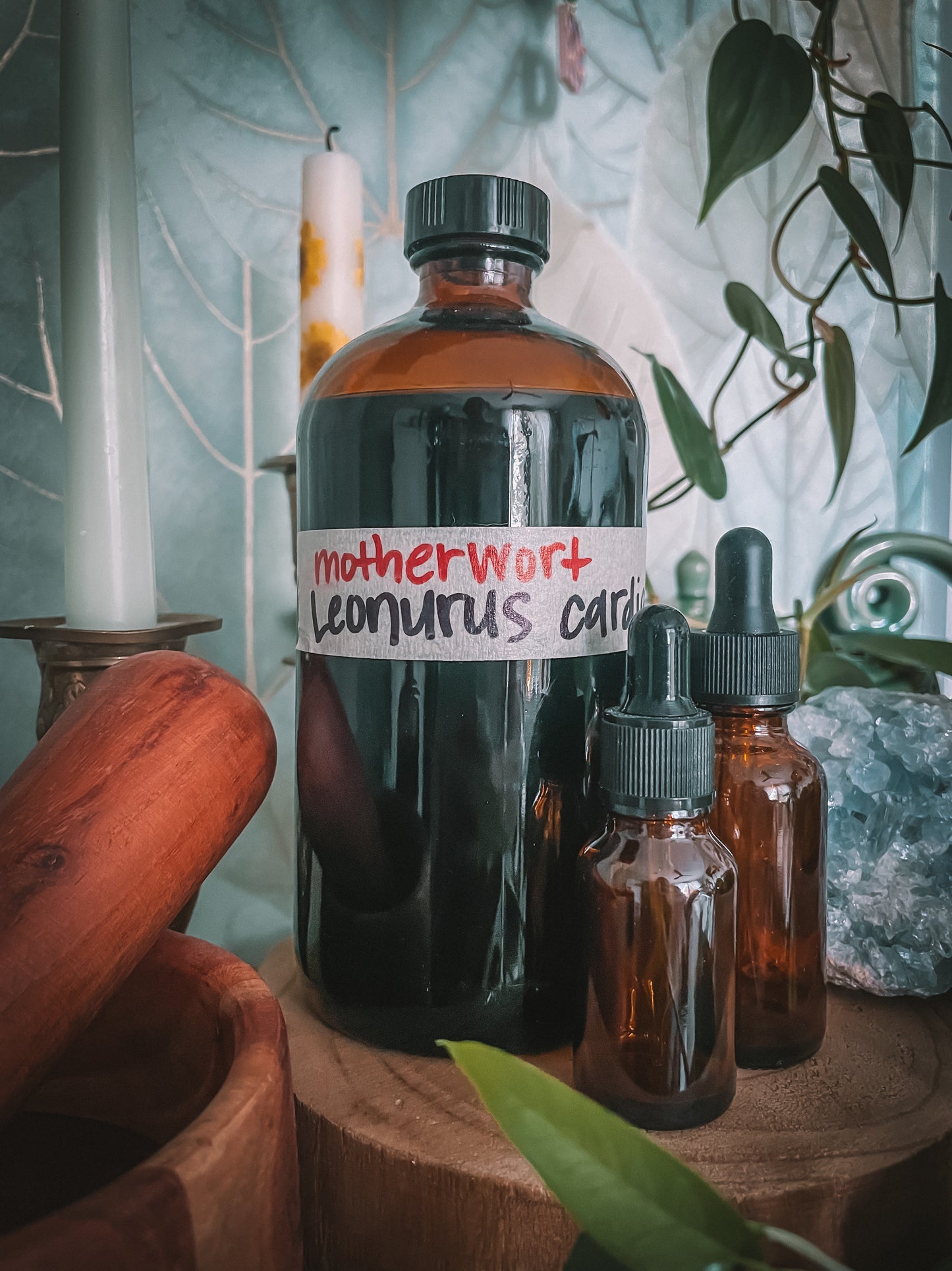 Motherwort Extract