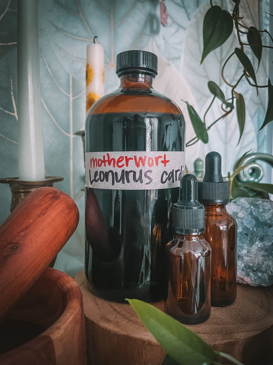 Motherwort Extract