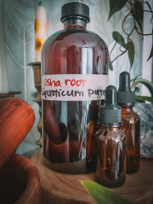 Osha Root Extract