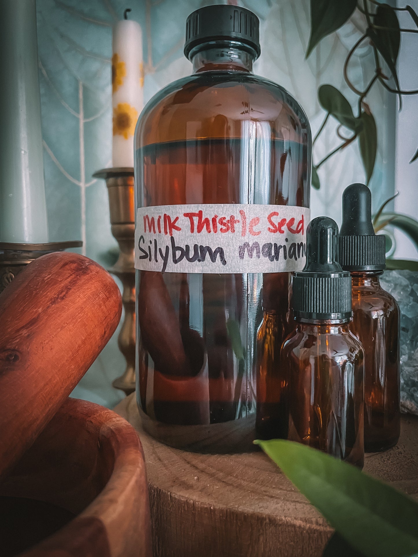 Milk Thistle Extract