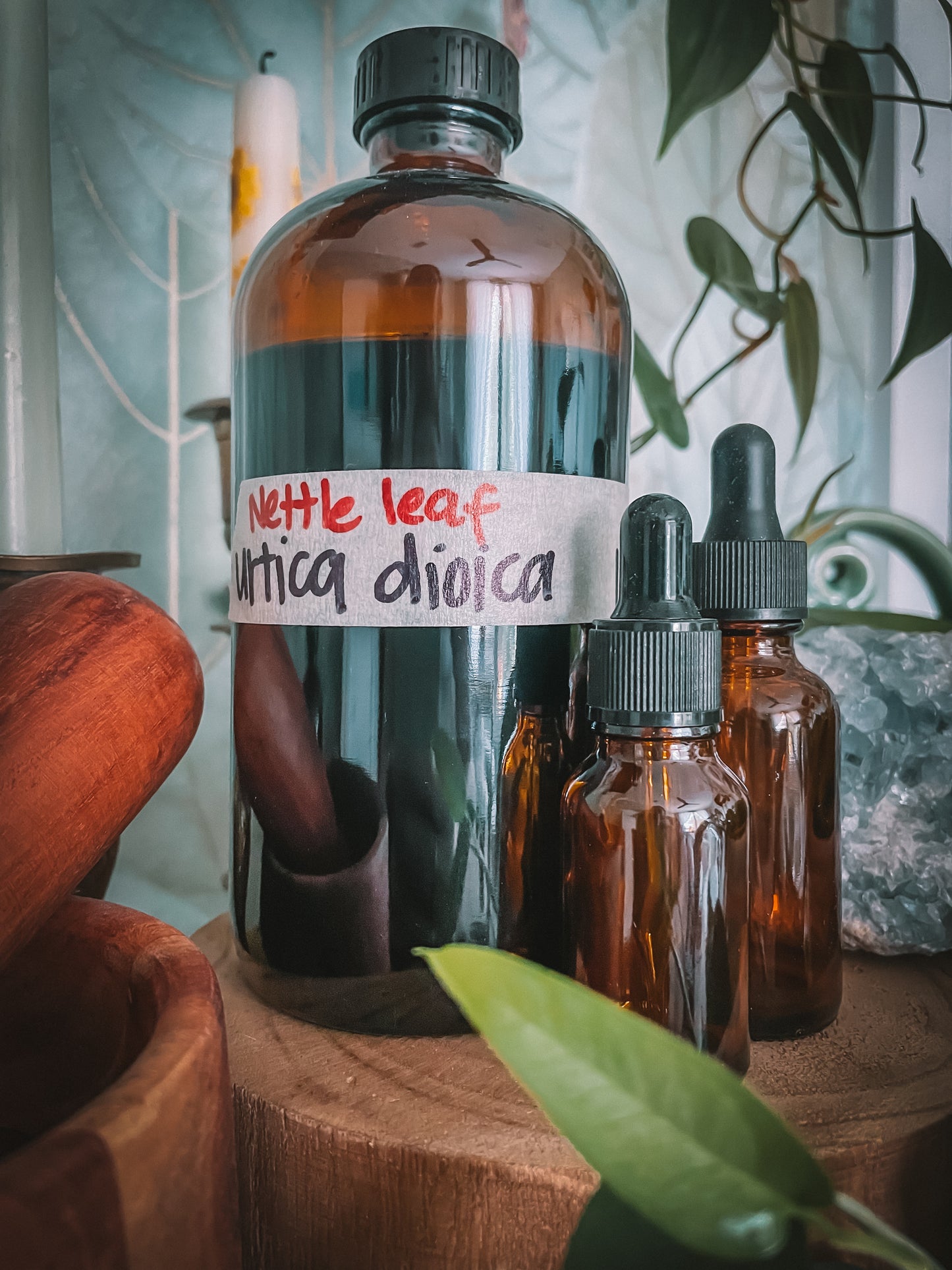Nettle Leaf Extract