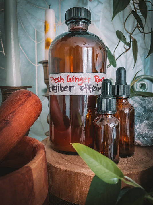 Ginger Root Extract