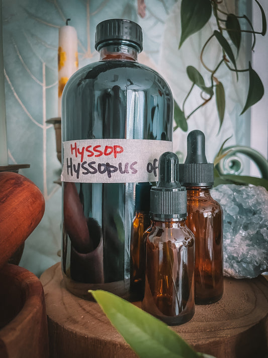 Hyssop Extract