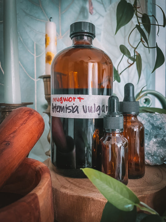 Mugwort Extract