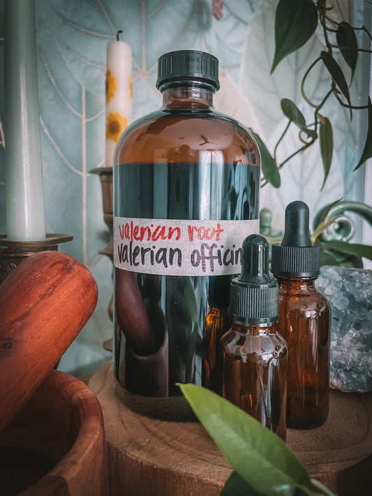 Valerian Root Extract