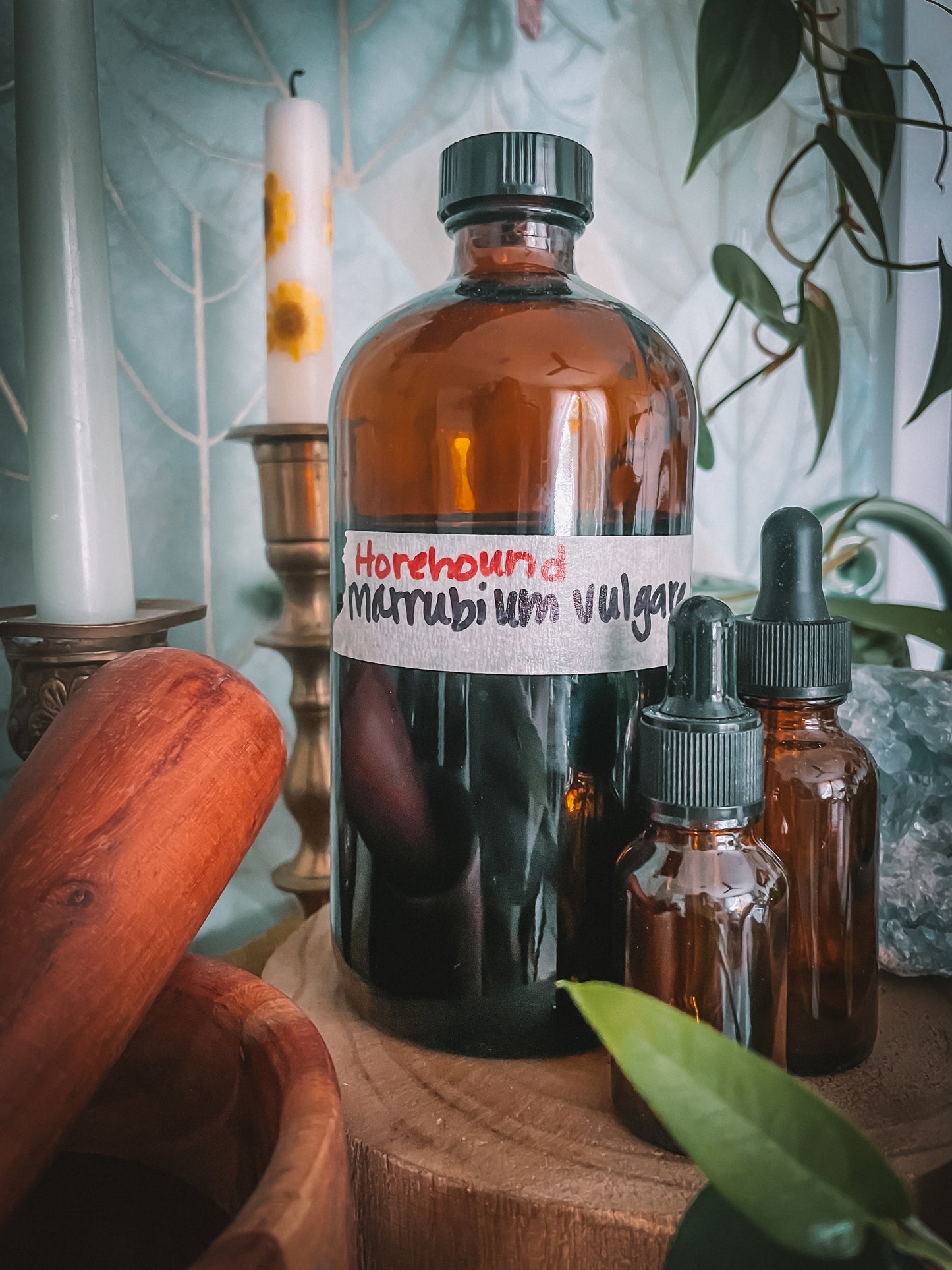 Horehound Extract