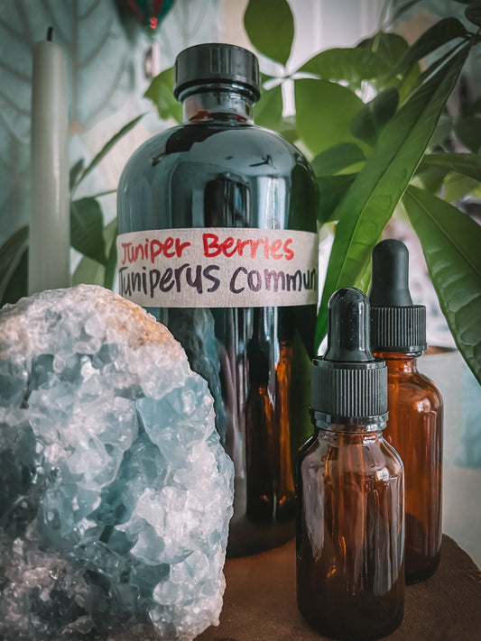 Juniper Berry Extract