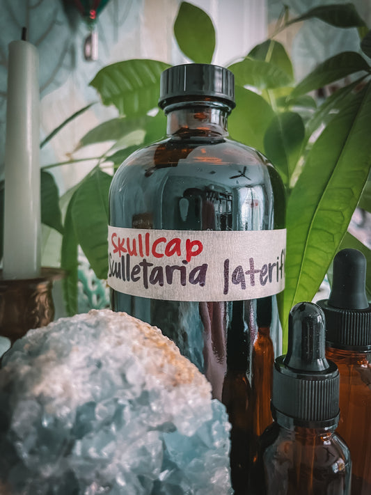 Skullcap Extract