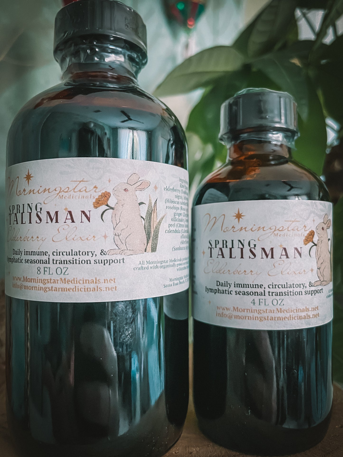 TALISMAN | Spring Edition: Elderberry Elixir (Ready Made)