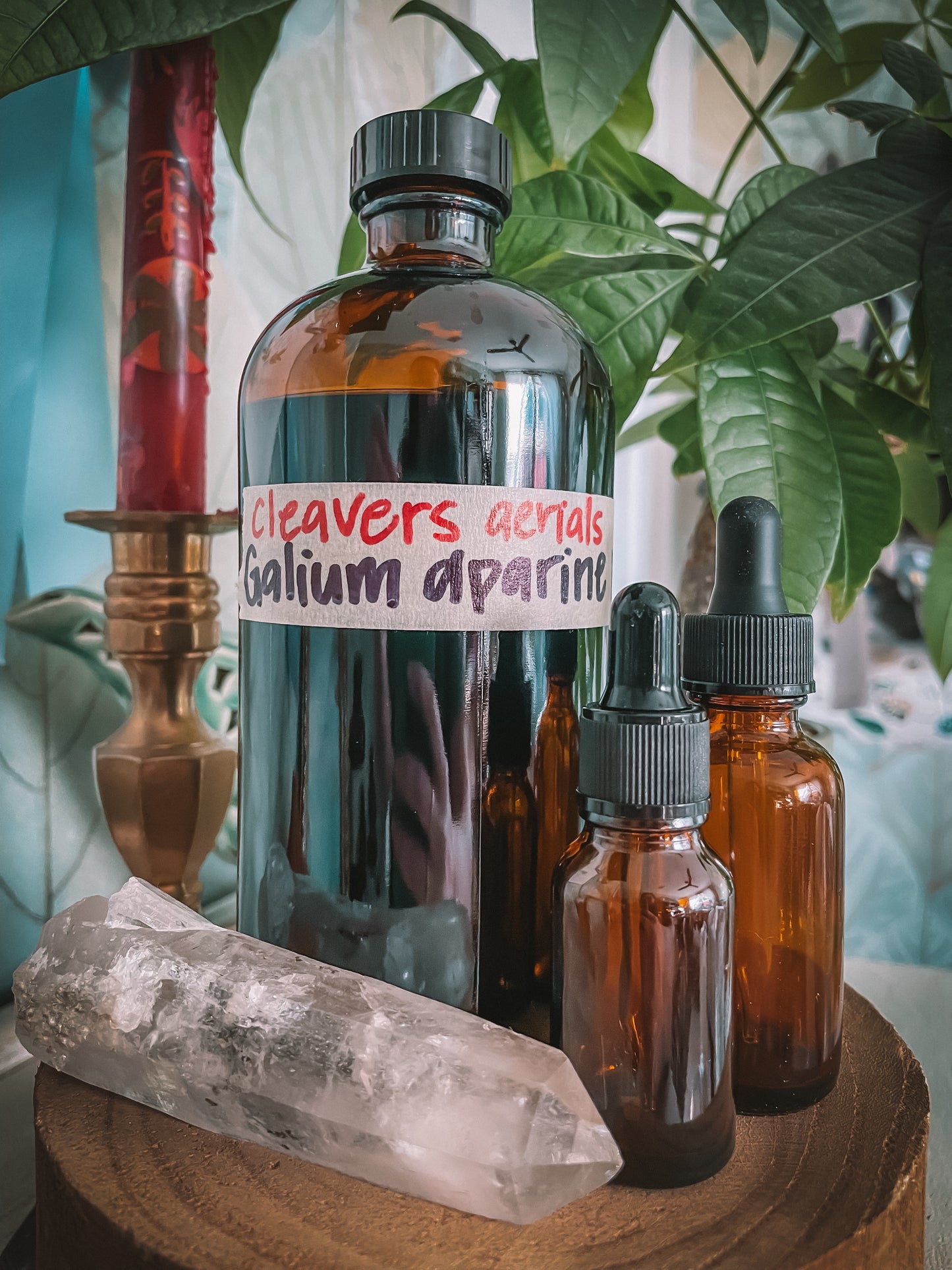 Cleavers Extract