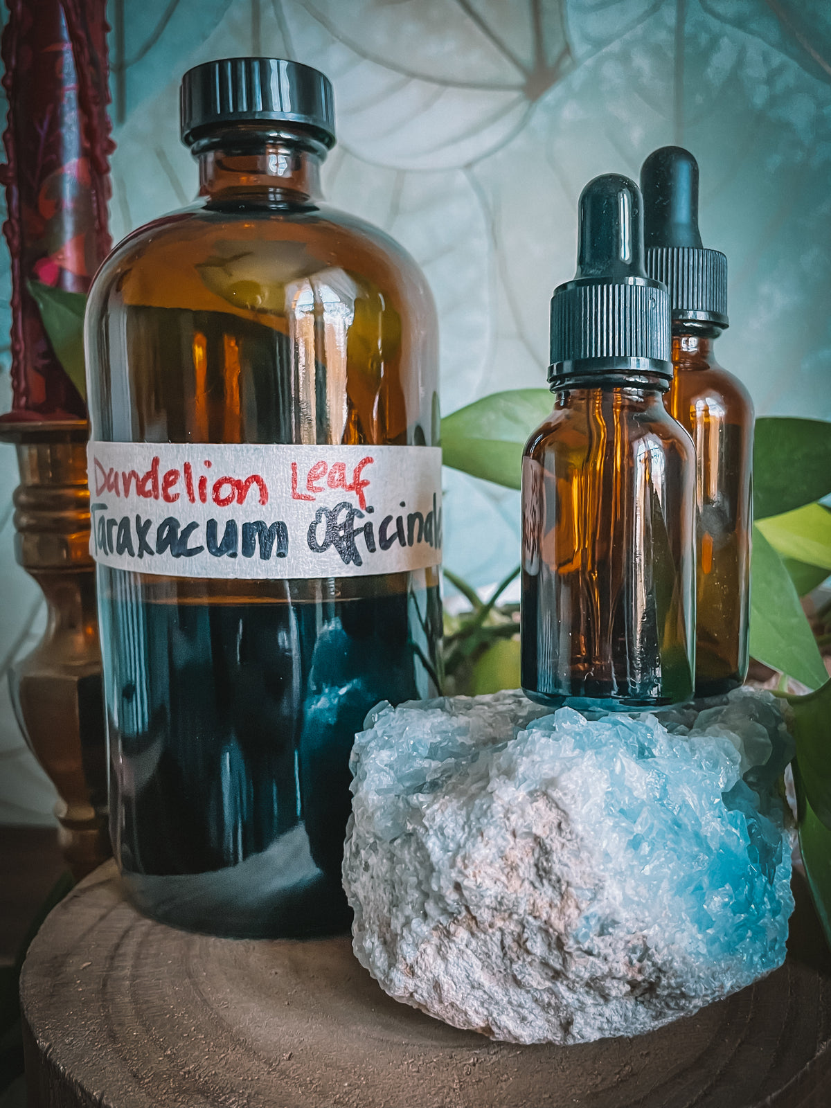 Dandelion Leaf Extract