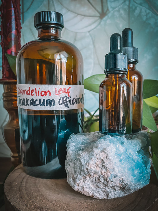 Dandelion Leaf Extract