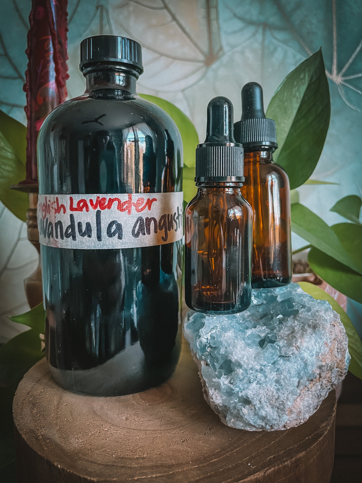 Lavender Extract