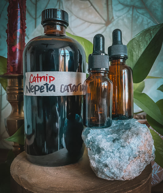 Catnip Extract