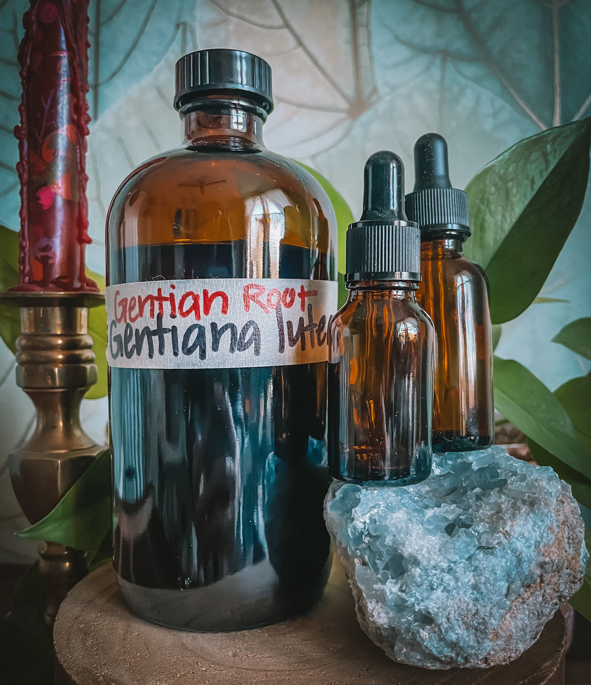 Gentian Root Extract
